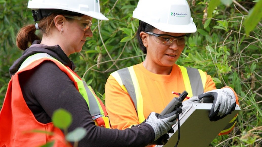 Pelatihan Environment Officer